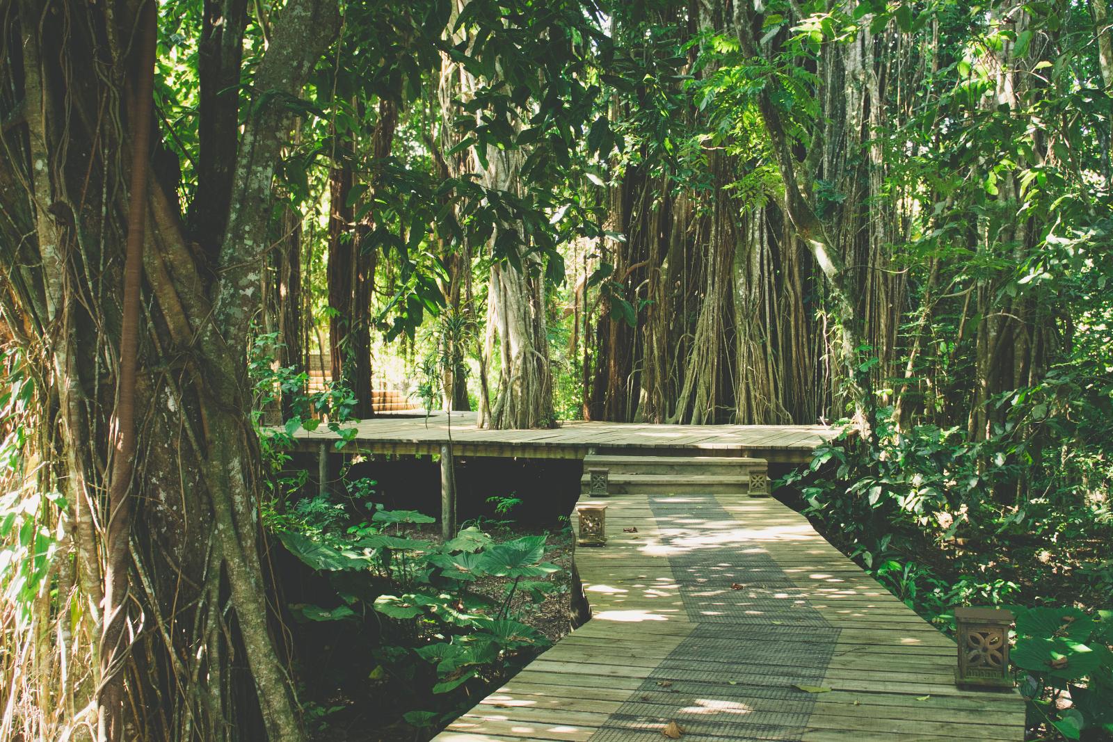 Matanivusi Beach Eco Resort AWAVE Travel